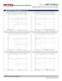 OKR-T/3-W12-C Datasheet Page 9