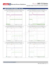 OKR-T/3-W12-C數據表 頁面 10
