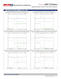 OKR-T/3-W12-C數據表 頁面 11