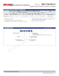 OKR-T/30-W12-C Datasheet Page 2