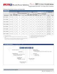 OKY2-T/16-W5N-C Datasheet Page 2