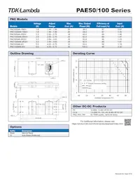 PAE100S48-5/V Datasheet Page 2