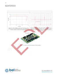 Q24T25033-NBC0G Datasheet Pagina 12