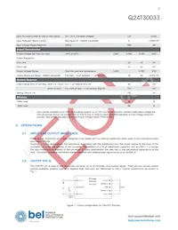 Q24T30033-NBC0G Datasheet Page 3