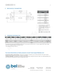 Q48S30015-PS0V Datasheet Pagina 13