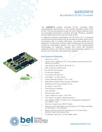 Q48S30018-NS00G Datasheet Cover