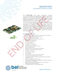 QD48T018033-PAA0G Datenblatt Cover
