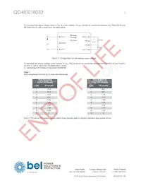 QD48T018033-PAA0G Datasheet Page 5