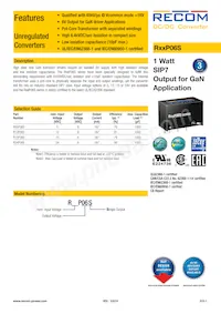 R24P06S Datasheet Copertura