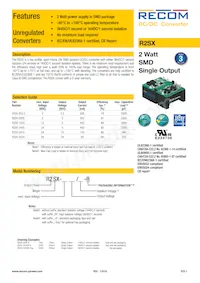 R2SX-2405-TRAY Datasheet Cover