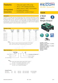 R2SX-2405-TRAY Datasheet Copertura