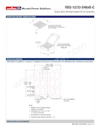 RBQ-12/33-D48NBS-C Datasheet Page 9