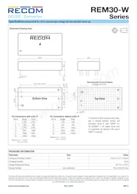 REM30-4805DW/P Datasheet Page 8