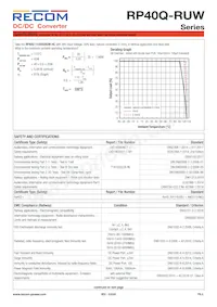 RP40Q-11024SRUW/P Datasheet Page 8