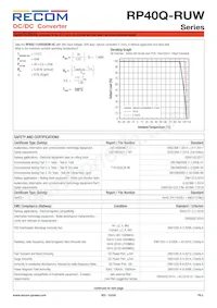 RP40Q-11024SRUW/P Datenblatt Seite 8