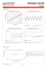 RP60Q-11024SRUW/P Datasheet Pagina 3