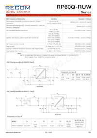 RP60Q-11024SRUW/P Datenblatt Seite 9