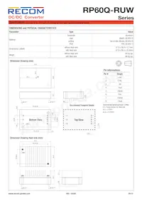 RP60Q-11024SRUW/P 데이터 시트 페이지 10