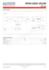 RPA100H-11048SRUW/N Datasheet Page 12