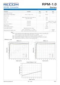 RPM5.0-1.0-CT Datasheet Pagina 2
