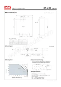 SDM30-48S5 Datasheet Page 3