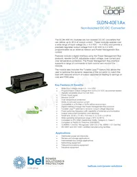 SLDN-40E1ALG Datasheet Cover