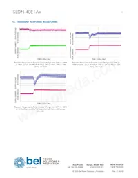 SLDN-40E1ALG Datasheet Pagina 9