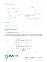 SLDN-40E1ALG數據表 頁面 13