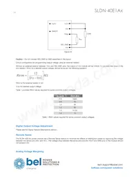 SLDN-40E1ALG Datasheet Page 14