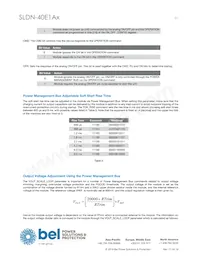 SLDN-40E1ALG Datasheet Page 21