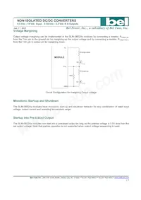 SLIN-06E2A0G Datasheet Pagina 17