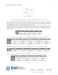 SLIN-20F1A0G Datasheet Page 11