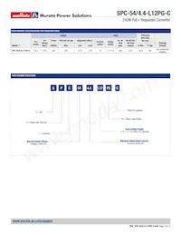 SPC-54/4.4-L12PG-C Datasheet Page 2