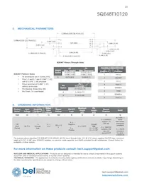 SQE48T10120-PDB0G Datasheet Page 13