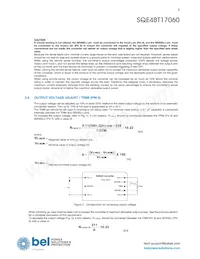 SQE48T17060-NGB0G Datasheet Page 5