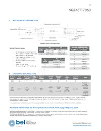 SQE48T17060-NGB0G Datasheet Page 13
