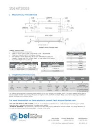 SQE48T20033-NGB0G Datasheet Page 13