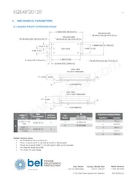 SQE48T20120-NDBLG Datasheet Page 13