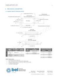 SQE48T20120-NDBLG 데이터 시트 페이지 13