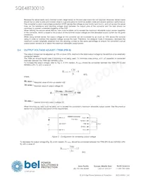 SQE48T30010-NDB0G數據表 頁面 5