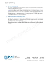 SQE48T30010-NDB0G Datasheet Pagina 7