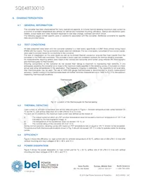 SQE48T30010-NDB0G Datasheet Pagina 9