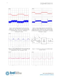 SQE48T30010-NDB0G Datasheet Page 12