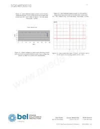 SQE48T30010-NDB0G Datasheet Page 13