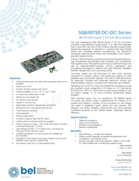 SQE48T30033-PGB0G Datasheet Cover