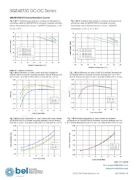 SQE48T30033-PGB0G Datasheet Page 16