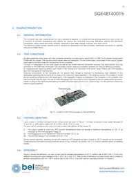 SQE48T40015-NDCKG Datasheet Page 9