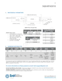 SQE48T40018-NDBK Datasheet Pagina 13