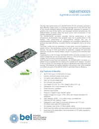 SQE48T40025-NDAKG Datenblatt Cover