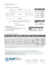 SQE48T40025-NDAKG數據表 頁面 13